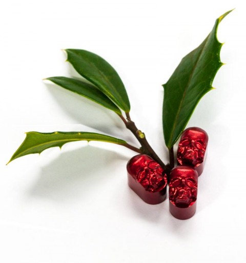 Blog Image for Product Photography Holly Berries