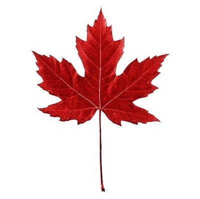 Blog Image for Happy Holiday it is Canadian Thanksgiving! 