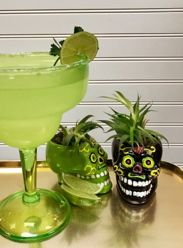 Blog Image for Cocktail Friday: Margaritas!