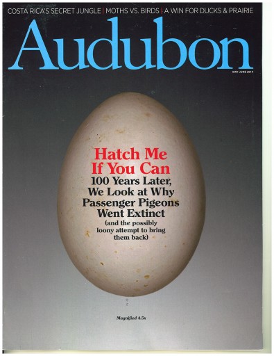 Media Scan for Audubon Magazine