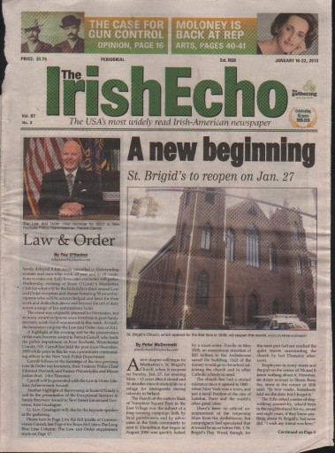 Media Scan for Irish Echo