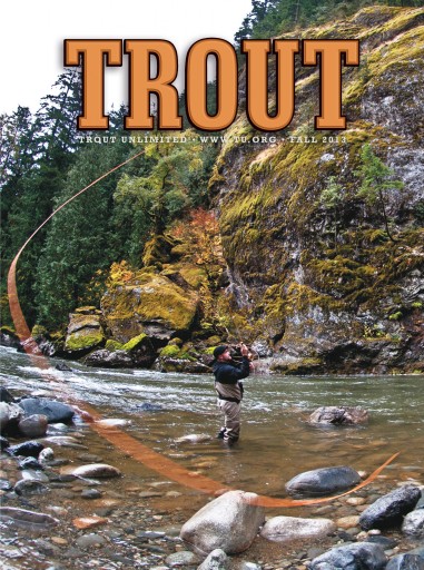 Media Scan for Trout