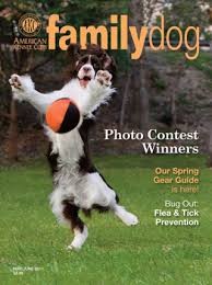 Media Scan for AKC Family Dog