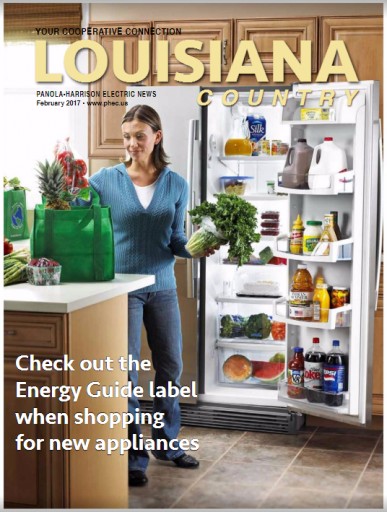 Media Scan for Louisiana Country