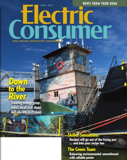 Media Scan for Electric Consumer IN