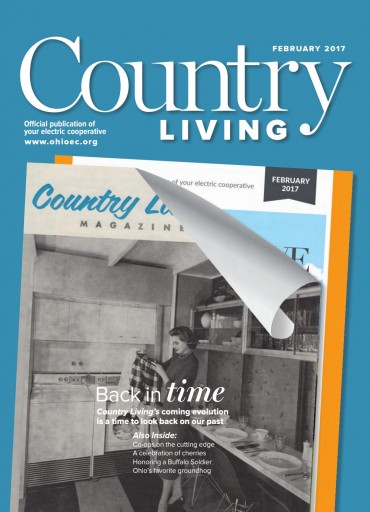 Media Scan for Country Living (OH)