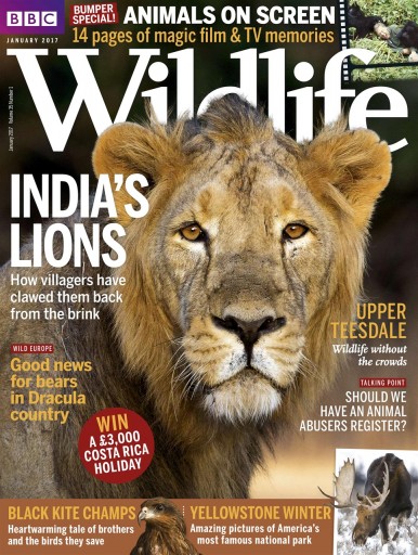 Media Scan for BBC Wildlife