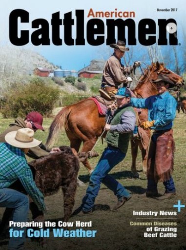 Media Scan for American Cattlemen