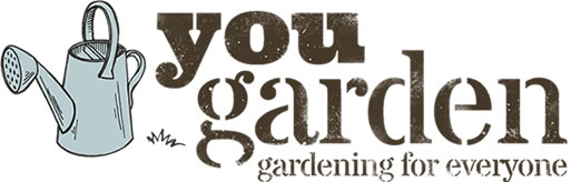 Logo or Media image