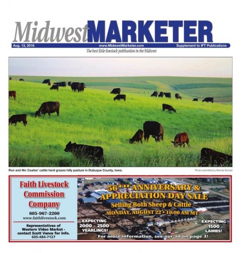 Media Scan for Midwest Marketer