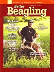 Media Scan for Better Beagling