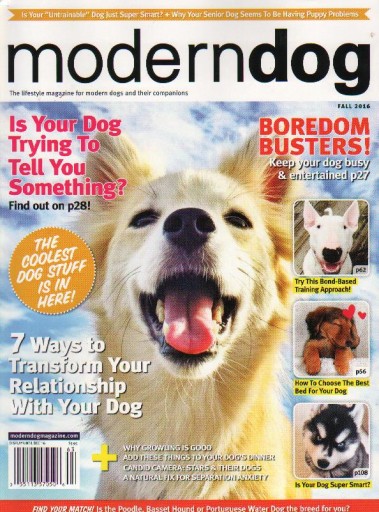 Media Scan for ModernDog