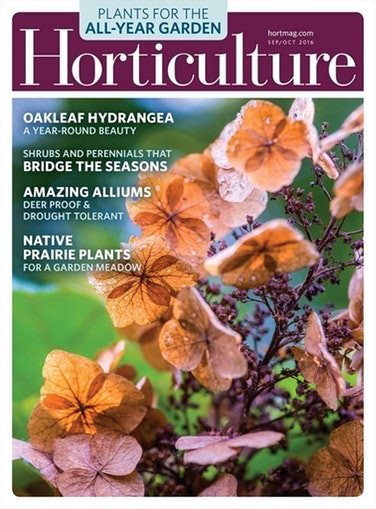 Media Scan for Horticulture