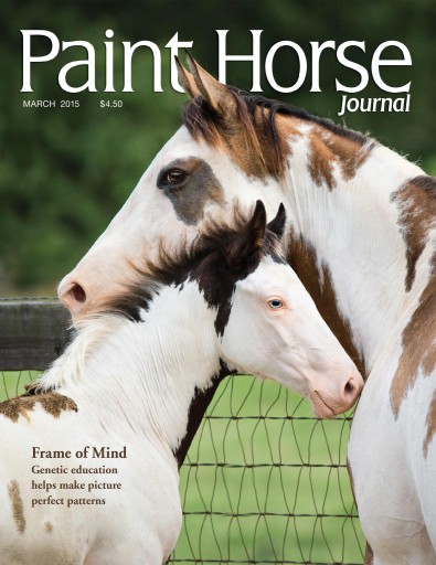 Media Scan for Paint Horse Journal