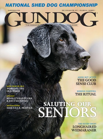 Media Scan for Gun Dog Magazine