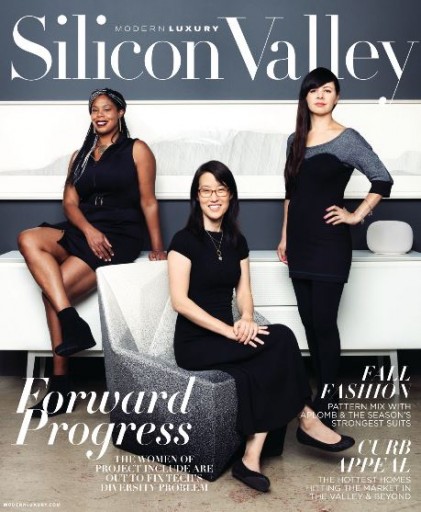 Media Scan for Silicon Valley Modern Luxury