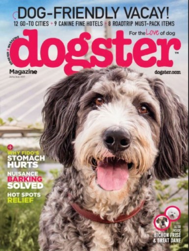 Media Scan for Dogster