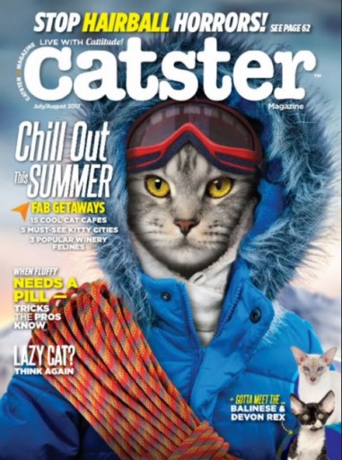 Media Scan for Catster