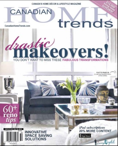 Media Scan for Canadian Home Trends